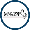 Marconi Stallions