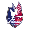 Fagiano Okayama